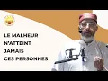 Download Lagu Le malheur n’atteint jamais ces personnes