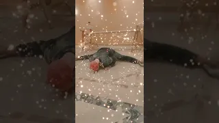 We Like Hard Work Coach Sameh Musslm قتالات كابتن سامح مسلم ديكورات ديكور ترند لايك تيك توك 