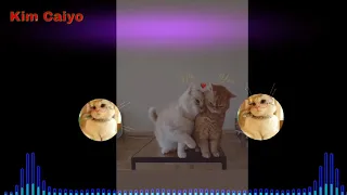 dj satu nama tetap dihati bass mantap 2019