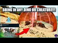 FIGHT with ANY TAMES YOU WANT in BOSS ARENAS All Arenas Ascended MOD Highlight Ark Survival ASA