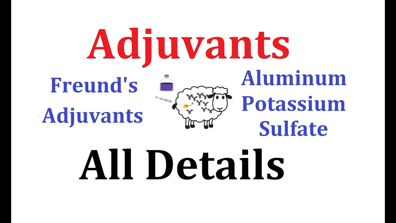 Adjuvants: Animated explanation (Alum, Freund's Adjuvants)