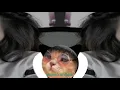 Download Lagu DJ GAGAL JADI CALON MANTU PIPIPI VIRAL TIK TOK TERBARU 2020 akhir