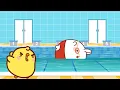 Download Lagu Molang's Swimming Adventure with Piu Piu 🏊‍♂️