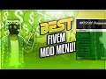 FIVEM MOD PC FREE DOWNLOAD AIMBOT ESP WALLHACK UNDETECTED