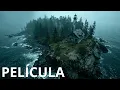 Download Lagu CHICA VIVIÓ toda su vida en silencio con su abuelo ermitaño y habló solo después de su muerte