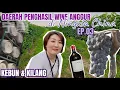 Download Lagu KEBUN \u0026 KILANG ANGGUR DI NINGXIA TIONGKOK