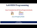 How To Update Size Of Array Programmatically Using Property Node