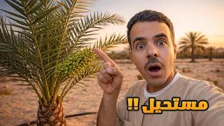 صار اللي ماتوقعته في 6 شهور !!