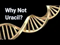 Why does RNA have Uracil and DNA have Thymine Watch nucleotides - org
