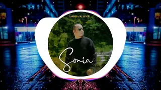 Download DJ SONIA - ANDRA RESPATI REMIX VIRAL TIKTOK 2023 MP3
