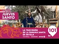 EN DIRECTO Jueves Santo Desde las 14 00 a 00 00 Semana Santa Sevilla 28 marzo 2024