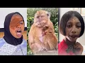 Download Lagu BEST OF NAK APPAN | Video Lucu | Viral | #5