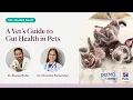A Vet s Guide to Gut Health in Pets