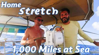 Home Stretch; 1,000 miles at Sea DONE(Calico Skies Sailing, Ep 109)