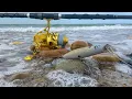 FULL MOON Montauk Pencil Popper Bite - Mr Poseidon Montauk Surf Fishing Tournament CAN I WIN