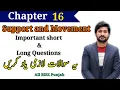 Chapter 16 Support and Movement Class 12 important short and long questions 2024 exam