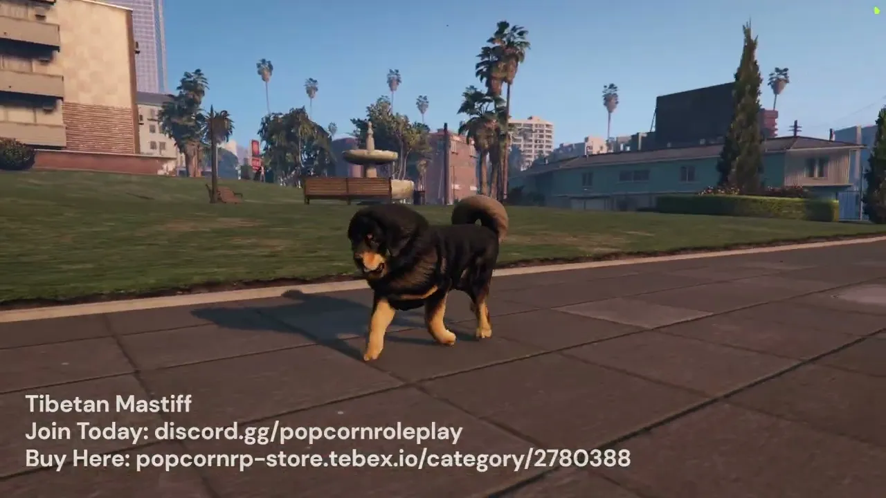 Tibetan Mastiff