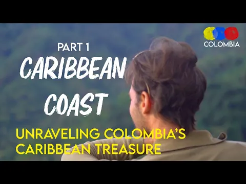 Birding on the Caribbean Coast | Coastal Species