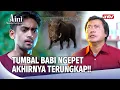 Download Lagu Terkuak! Juragan Jadiin Anak Buah Tumbal Babi Ngepet | Aini Malaikat Tak Bersayap Eps 218 (5/5)