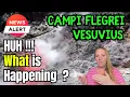 VESUVIUS doesn't quiet down ! Campi Flegrei and Vesuvius Earthquakes look STRANGE ! Time to WORRY ?