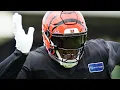 Bengals talk long version