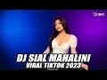 Download Lagu DJ SIAL MAHALINI - BAGAIMANA DENGAN AKU TERLANJUR MENCINTAIMU REMIX BREAKBEAT TIKTOK TERBARU 2023