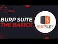 Burp Suite The Basics Try Hack Me Walkthrough