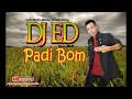 Dj ed.. The best lagu penyakit padi boom