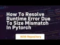 how to resolve runtime error due to size mismatch in pytorch
