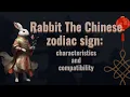 Rabbit the chinese zodiac sign characteristics and compatibility