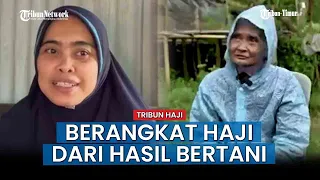 hot news cerita nilma bantu nenek jumriah naik haji setelah menunggu 15 tahun dari hasil bertani
