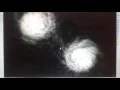Gravity Particles SDL2 C
