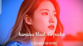 hamara haal na pucho slowed reverb female version mind relax songs in slow motion hindi 