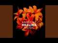 Holistic Harmony