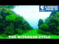 The MOST IMPORTANT Aquarium EVER Made