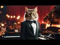 Download Lagu Today the cats are performing a concert!