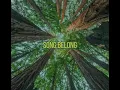 Slenderbodies-Belong (lyric video)