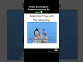 Download Lagu pingu Road men and the seagull