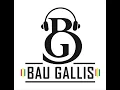 Download Lagu DJ BAU GALLIS LOVERS SENSATION MIX 2015