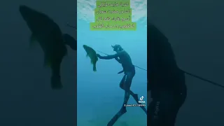 أغنية خايف عليكي للشاعر صفوت شعبان لكل القلوب التي تجرعت العذاب وسلمت أمرها إلى الله دندنها