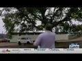 National Weather Service confirms EF-0 tornado hit Tyler