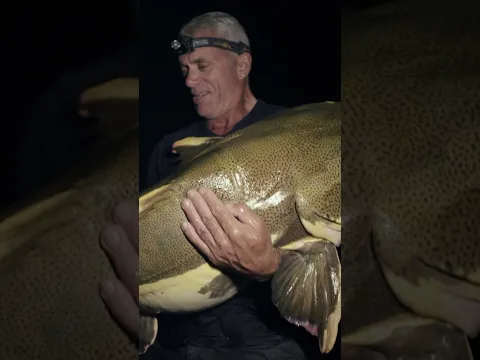 Is this fish to blame for dragging humans away? 😳