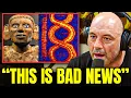 Download Lagu Na DNA-test hebben wetenschappers de ware identiteit van de Azteken ontdekt... En het is erger da...