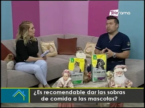 ¿Es recomendable dar las sobras de comida a las mascotas?