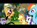 Download Lagu The Mane 6 JUNGLE ATTACK?!🐯🌿🐍 4 HOURS OF SEASON 4 | My Little Pony: Friendship Is Magic