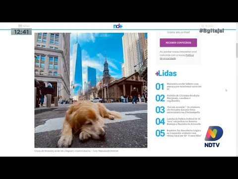 Família aguarda as cinzas do cachorro Shurastey para prestar novas homenagens