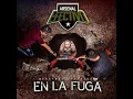Vida Peligrosa - Arsenal Efectivo