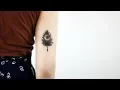 Best Tree Tattoo Designs and Ideas For Your Inspiration