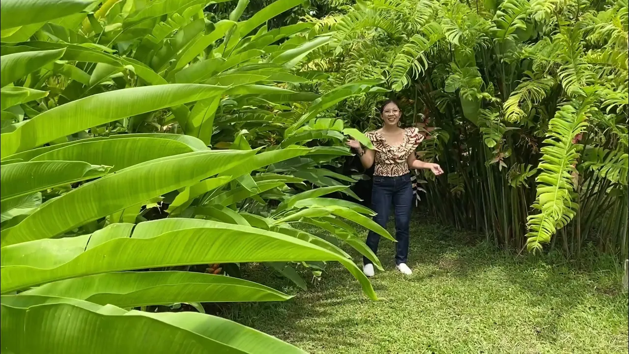 Plantita Journey Vlog #212 || Sharing our nice experience at the Moonfield Ecopark and Cafe 👌😊