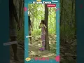 Download Lagu RATU MERMAID KANZA YANG NYAMAR JADI MANUSIA DICULIK ORANG GONDRONG MISTERIUS #shorts